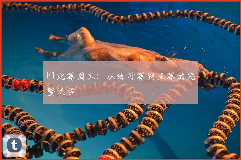 F1比赛周末：从练习赛到正赛的完整流程