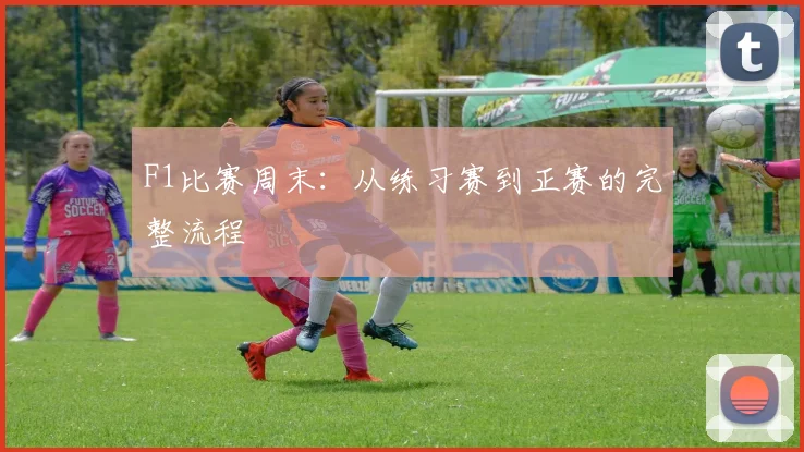 F1比赛周末：从练习赛到正赛的完整流程